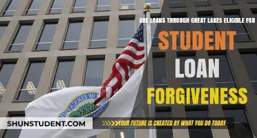 Great Lakes Loans: Eligibility for Student Loan Forgiveness Explained