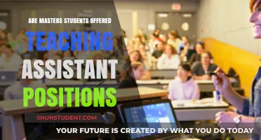 Teaching Assistant Roles: Opportunities for Master’s Students Explained