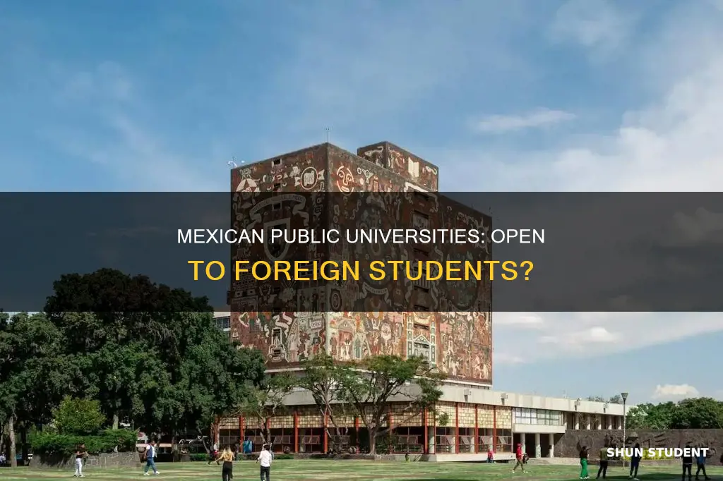 are mexiczn public universities open toforeign students