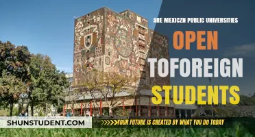 Mexican Public Universities: Open to Foreign Students?