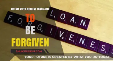 Can My Wife's Student Loans Be Forgiven? Exploring Options and Eligibility