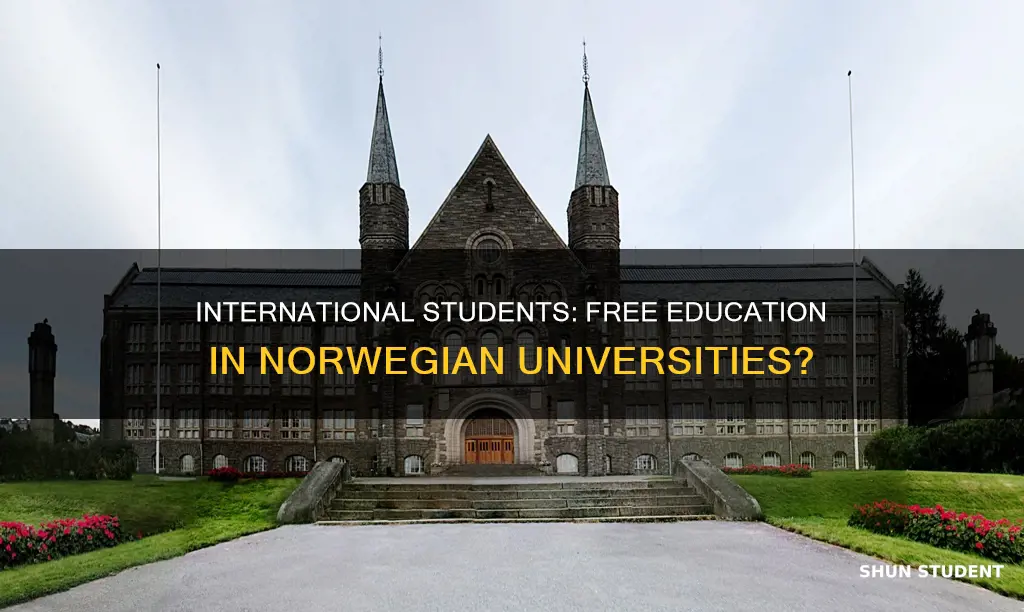 are norwegian universities free for international students