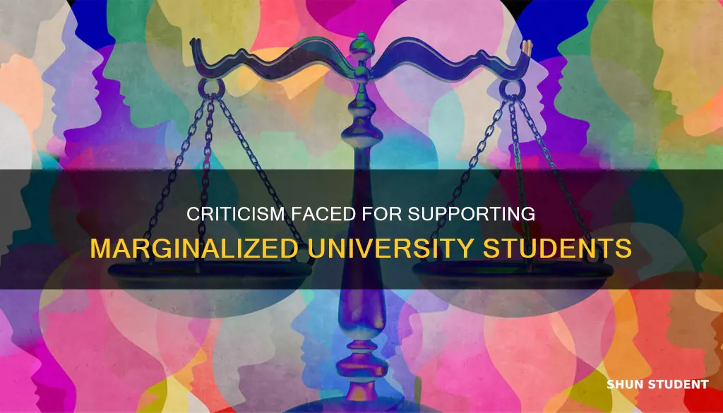 are people criticized for supporting marginalized students in university