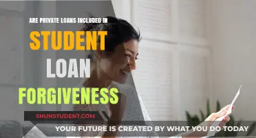 Are Private Loans Covered in Student Loan Forgiveness Programs?