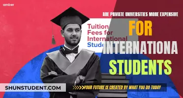 International Students: Private University Costs Examined