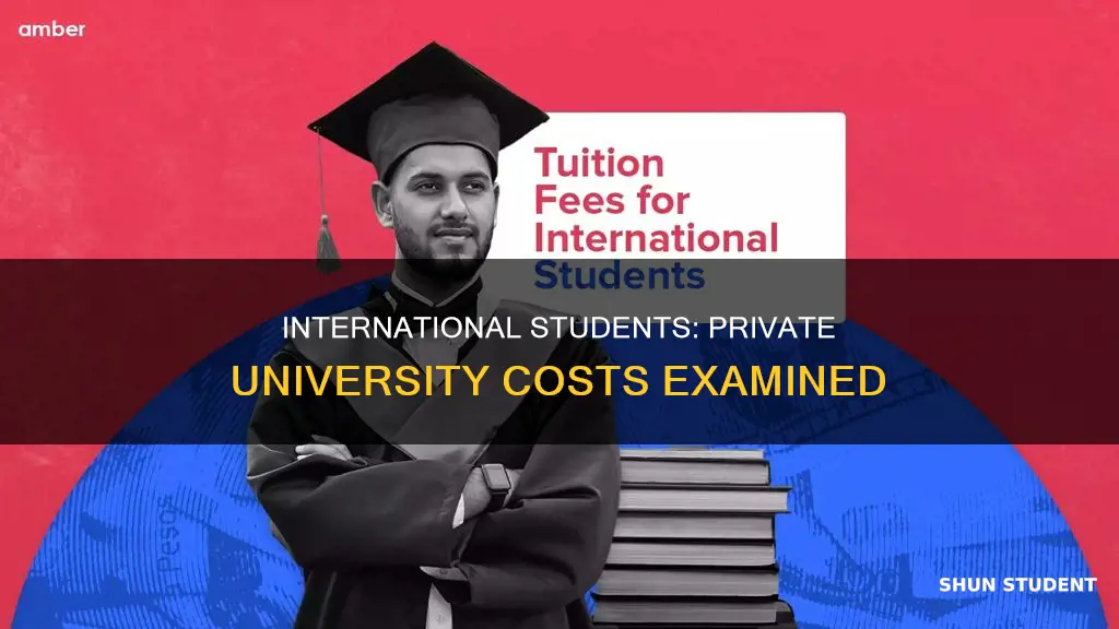 are private universities more expensive for international students