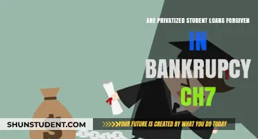 Can Privatized Student Loans Be Discharged in Chapter 7 Bankruptcy?