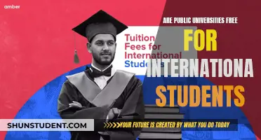 International Students: Free Tuition at Public Universities?