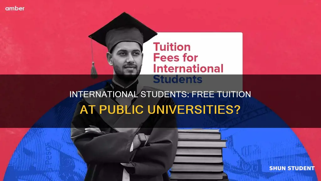 are public universities free for international students