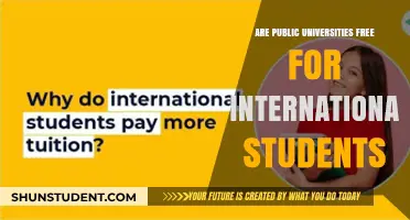 International Students: Free Public University Education?