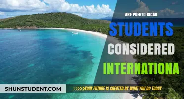 Puerto Rican Students: International or Domestic?