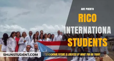 International Students: Puerto Rico's Education Attraction