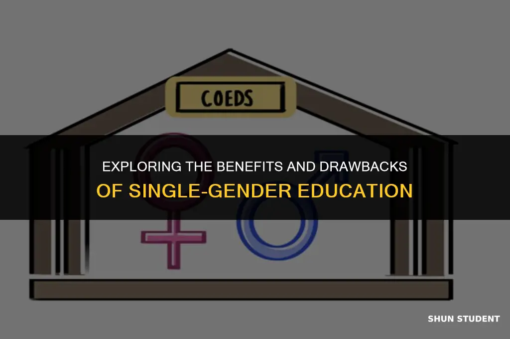 are single gender schools better for students