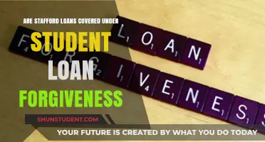 Are Stafford Loans Included in Student Loan Forgiveness Programs?