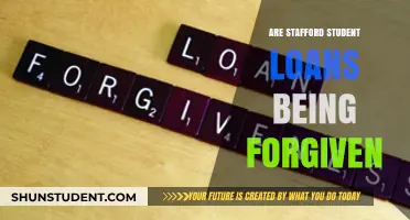 Stafford Student Loan Forgiveness: What Borrowers Need to Know Now