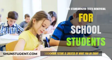 Assessing the Value: Do Standardized Tests Benefit School Students?