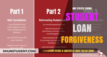 Student Loan Forgiveness: Will States Tax Your Financial Relief?