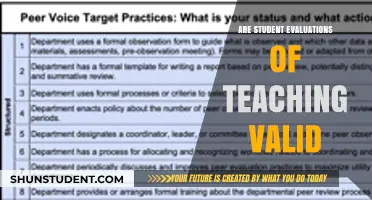 Are Student Evaluations of Teaching Valid? Examining Reliability and Bias