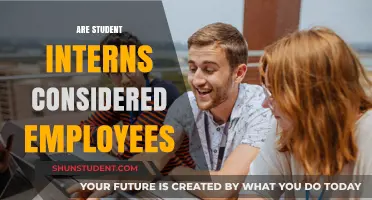 Interns: Students or Employees?