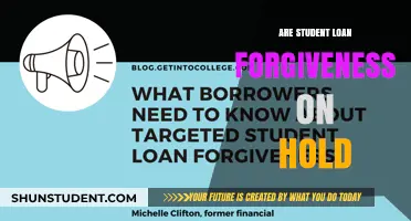 Student Loan Forgiveness on Hold: What Borrowers Need to Know