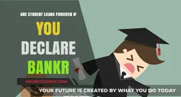 Can Bankruptcy Erase Student Loans? Debunking Myths and Exploring Options