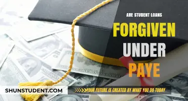 Student Loan Forgiveness: PAYE Options