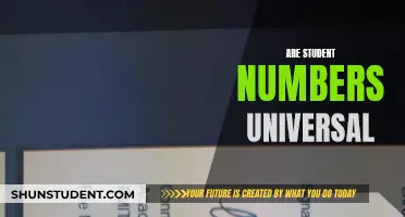 Student Numbers: Are They Unique Identifiers?