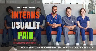 Student Nurse Interns: Are They Paid?