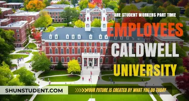 Student Workers: Employees or Not?
