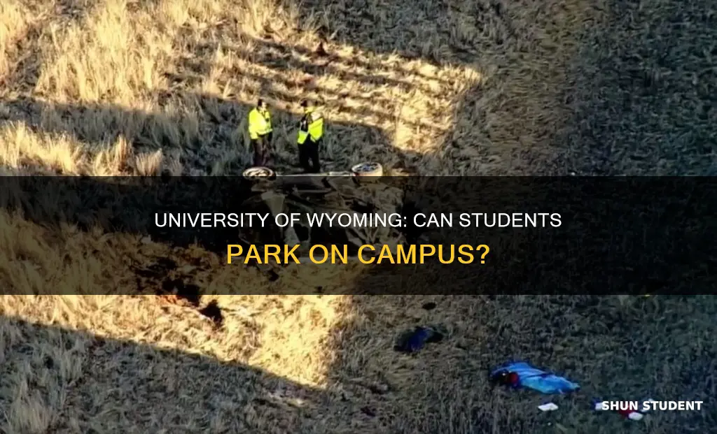 are students allowed to have cars at university of wyoming