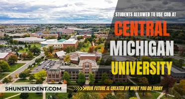 CBD Use at Central Michigan University: What Students Need Know