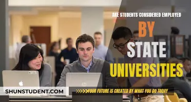 State University Students: Employees or Not?