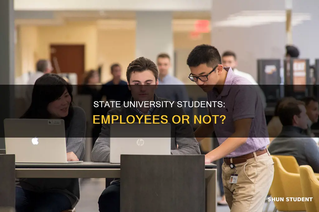 are students considered employed by state universities