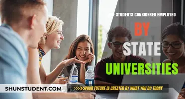 State University Students: Employees or Learners?