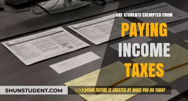 Students and Income Taxes: Who Gets Exemptions?