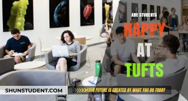 Exploring Student Satisfaction at Tufts: A Comprehensive Overview