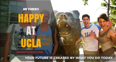 Exploring Student Satisfaction at UCLA: A Comprehensive Overview