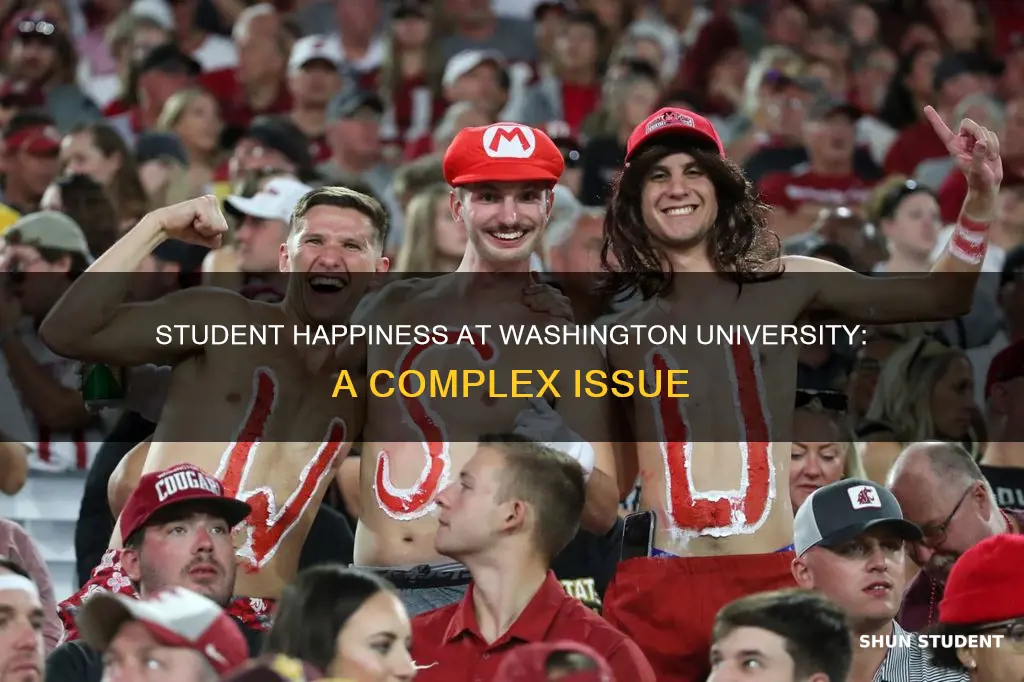 are students happy at washington university