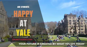 Exploring Student Satisfaction at Yale: A Deep Dive into Happiness on Campus