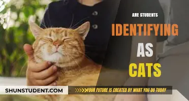 Feline Identities: The Purr-fect Storm in Student Culture
