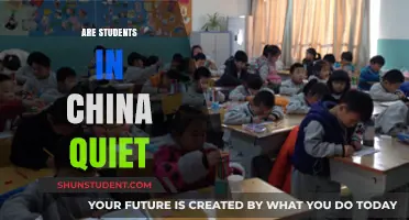 Exploring the Myth: Are Chinese Students Really Quiet in Class?