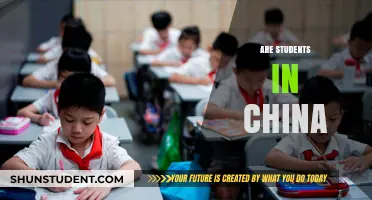 Exploring the Educational Landscape: Are Students in China Thriving?