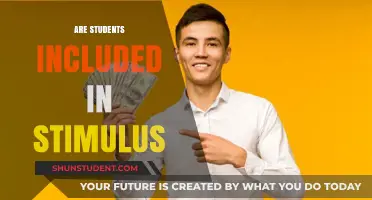 Exploring the Impact of Economic Stimulus on Student Inclusion and Support