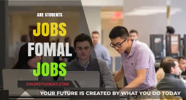 Exploring the Formality Spectrum: Are Student Jobs Truly Formal?