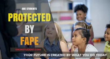 Understanding FAPE: Ensuring Students' Rights in Special Education