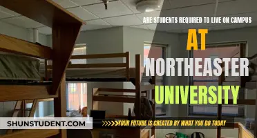 Campus Living: Northeastern University's Student Housing Policy