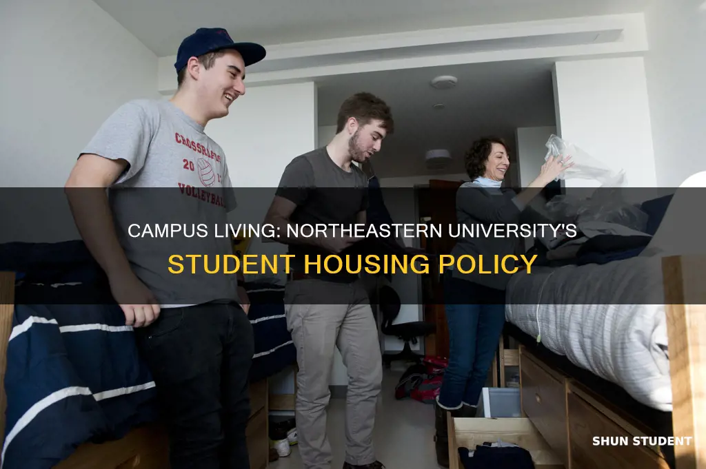 are students required to live on campus at northeastern university