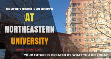 Explore Northeastern University's On-Campus Living Requirements