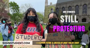 Student Protests Persist: A Look at Recent Demonstrations and Their Impact