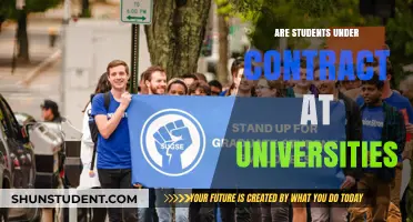 University Students: Employees or Customers?